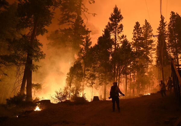 Огнеборцы на месте лесного пожара в штате Калифорния - Sputnik Молдова