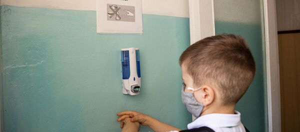 Один день ученика в пандемии - Sputnik Молдова