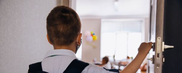 Один день ученика в пандемии - Sputnik Moldova