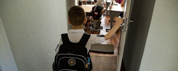 Один день ученика в пандемии - Sputnik Молдова