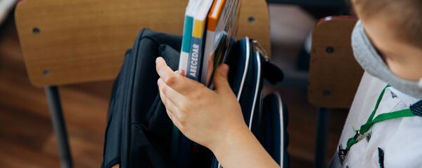 Один день ученика в пандемии - Sputnik Молдова