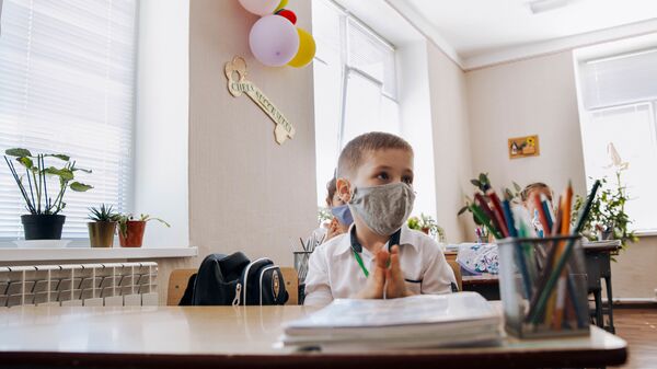 Один день ученика в пандемии - Sputnik Moldova-România