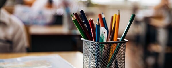 Один день ученика в пандемии - Sputnik Moldova