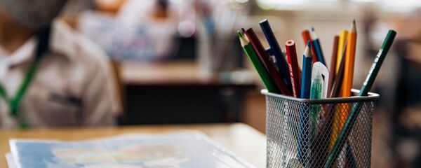 Один день ученика в пандемии - Sputnik Moldova