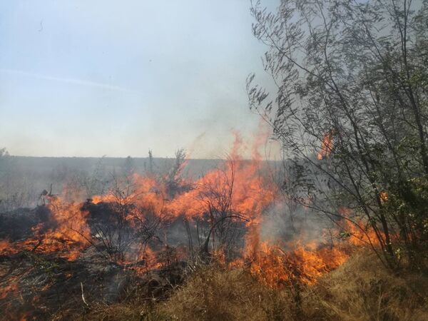 Incendiu puternic la Șoldănești: A fost nevoie de intervenția a patru autospeciale - Foto Incendiu puternic la Șoldănești: A fost nevoie de intervenția a patru autospeciale - Foto - Sputnik Moldova