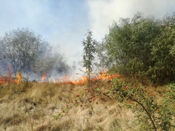 Incendiu puternic la Șoldănești: A fost nevoie de intervenția a patru autospeciale - Foto Incendiu puternic la Șoldănești: A fost nevoie de intervenția a patru autospeciale - Foto - Sputnik Moldova