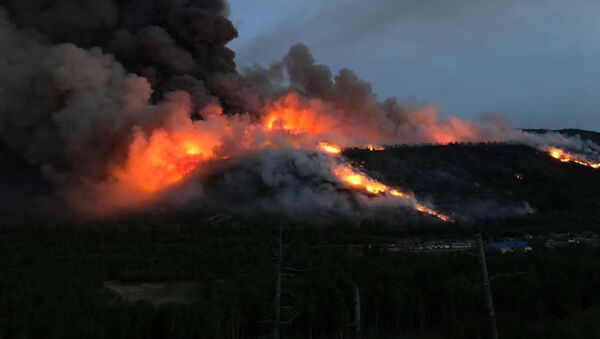 Лесной пожар в Камчатском крае - Sputnik Молдова