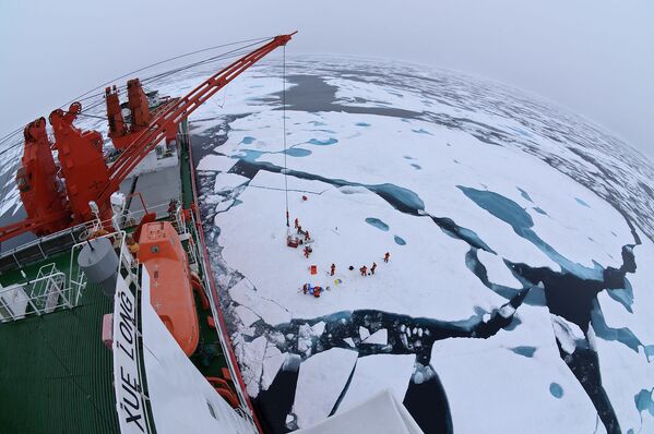 Арктические льды с борта китайского ледокола Xuelong - Sputnik Молдова