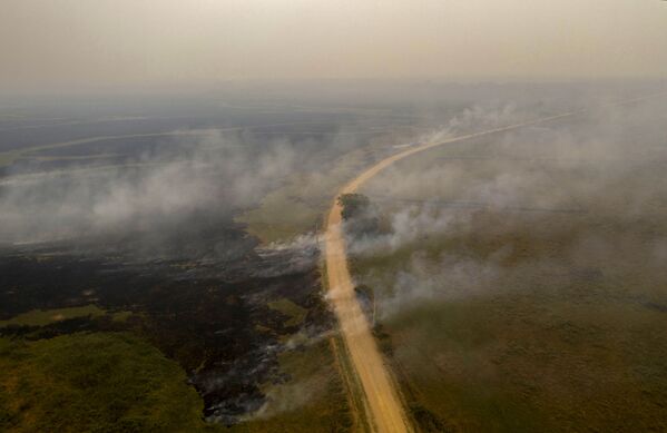 Вид с воздуха на лесной пожар в Бразилии - Sputnik Moldova-România