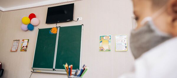 Один день ученика в пандемии - Sputnik Moldova