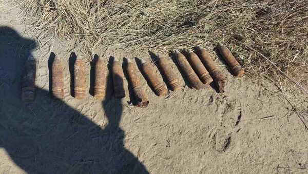 12 obuze au fost descoperite în apropiere de Bubuieci - Sputnik Moldova