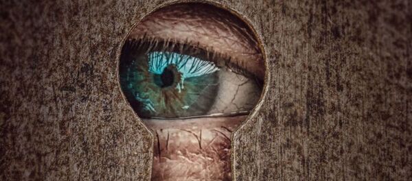 Слежка - Sputnik Молдова