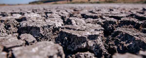 Засуха - Sputnik Молдова