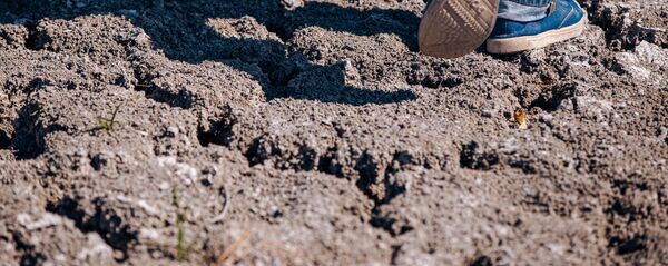 Засуха - Sputnik Moldova