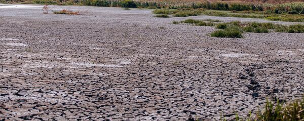 Засуха - Sputnik Moldova