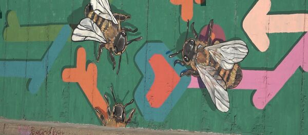 Видео – Кишинев украсили яркими настенными рисунками - Sputnik Молдова