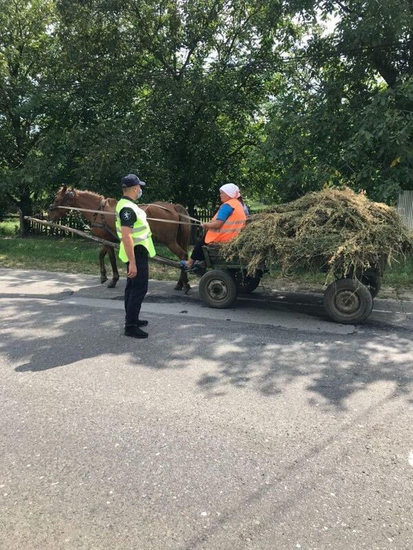 Foto: Poliția - Cum trebuie transportată recolta din câmp Foto: Poliția - Cum trebuie transportată recolta din câmp - Sputnik Moldova