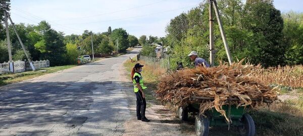 Foto: Poliția - Cum trebuie transportată recolta din câmp Foto: Poliția - Cum trebuie transportată recolta din câmp - Sputnik Moldova