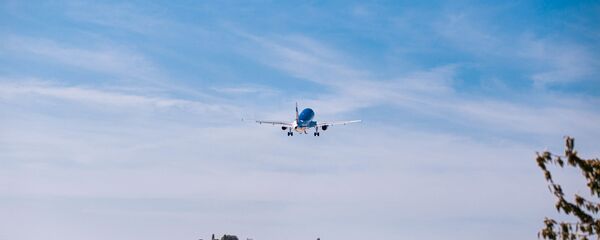 Работа на высоте - Sputnik Moldova