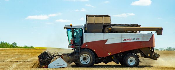 Recoltarea roadei  - Sputnik Moldova