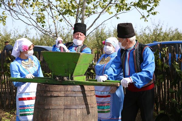 Дипломаты приняли участие в сборе винограда в Гагаузии - Sputnik Молдова