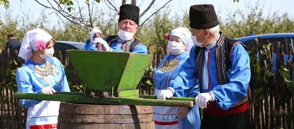 Дипломаты приняли участие в сборе винограда в Гагаузии Дипломаты приняли участие в сборе винограда в Гагаузии - Sputnik Молдова
