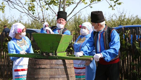 Дипломаты приняли участие в сборе винограда в Гагаузии - Sputnik Молдова