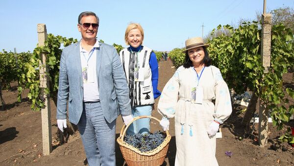 Дипломаты приняли участие в сборе винограда в Гагаузии - Sputnik Moldova