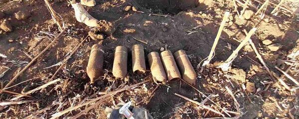 В Новоаненском районе саперы обезвредили боеприпасы времен Великой Отечественной. - Sputnik Молдова
