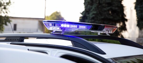 Полиция получила 52 машины - Sputnik Moldova