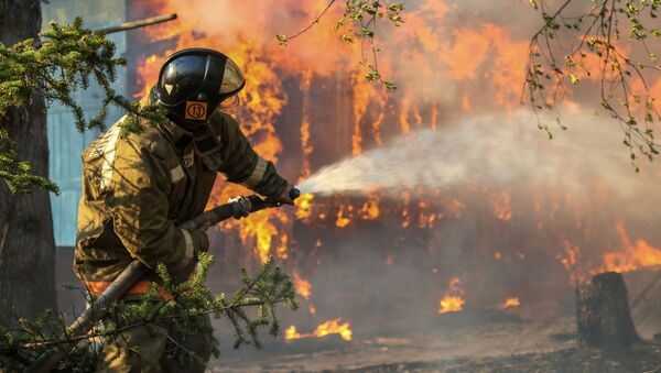 Сотрудники пожарной охраны МЧС России борются с последствиями природных пожаров в Амурской области - Sputnik Молдова