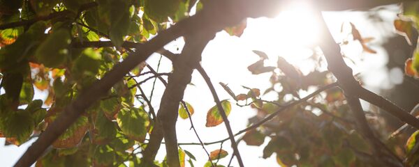 Природа - Sputnik Moldova-România