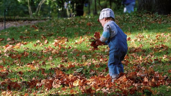 Ребенок на прогулке в Приоратском парке города Гатчина под Санкт-Петербургом - Sputnik Moldova