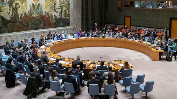 Совет Безопасности ООН проводит заседание по Ближнему Востоку (20 ноября 2019). Нью-Йорк - Sputnik Moldova-România