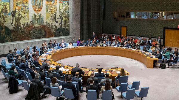 Совет Безопасности ООН проводит заседание по Ближнему Востоку (20 ноября 2019). Нью-Йорк - Sputnik Молдова