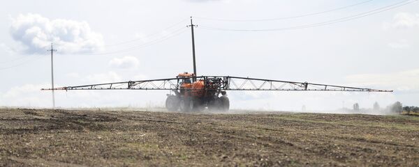 Молдавско-российский фестиваль День поля Молдавско-российский фестиваль День поля - Sputnik Молдова