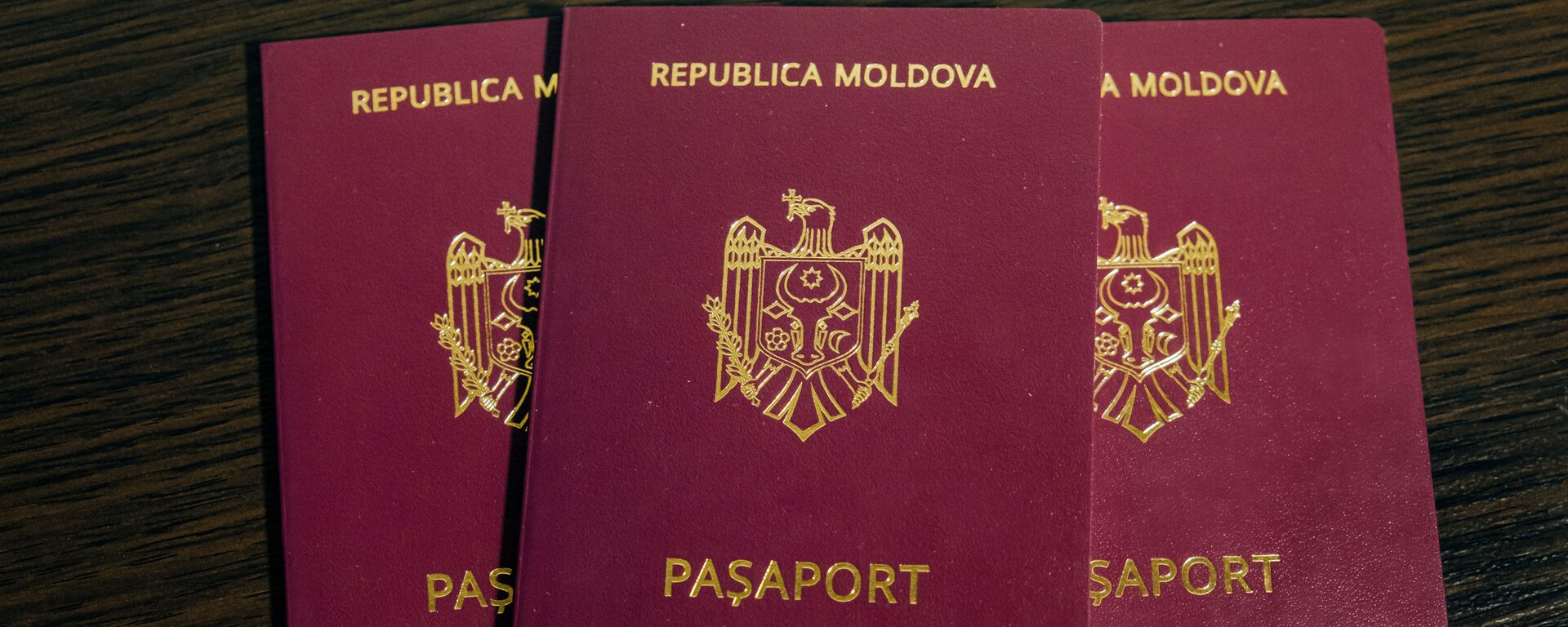 Молдавский биометрический паспорт - Sputnik Молдова, 1920, 21.08.2022