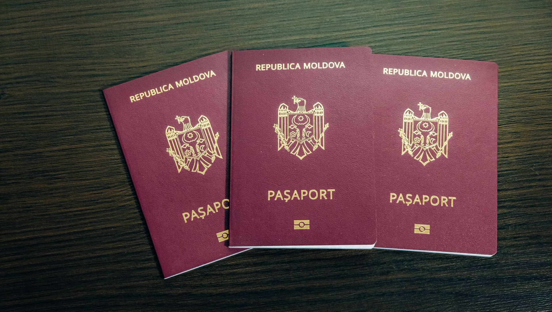 Молдавский биометрический паспорт - Sputnik Moldova, 1920, 12.05.2021