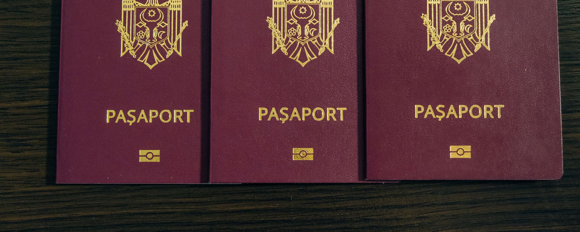 Pașaport moldovenesc - Sputnik Moldova, 1920, 28.07.2022
