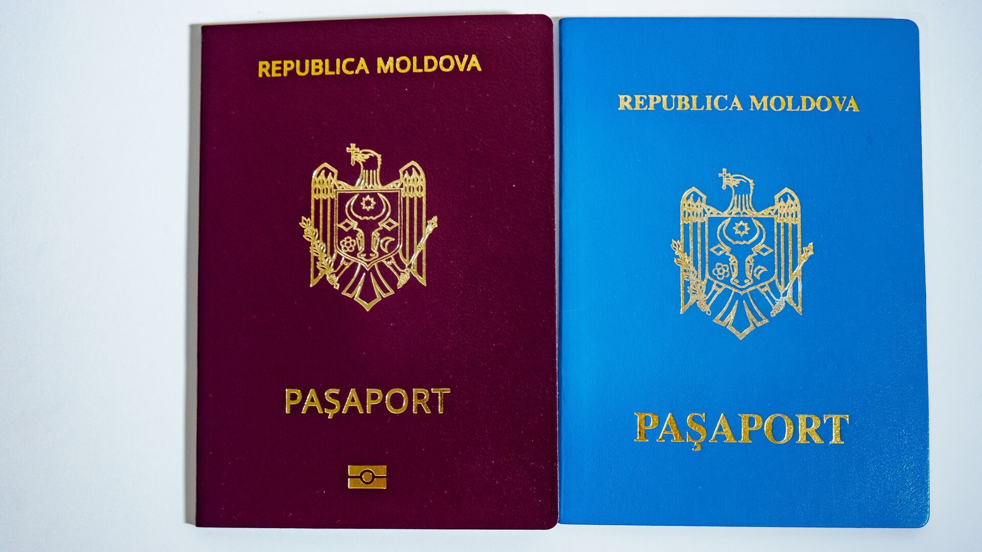 pașaport - Sputnik Moldova, 1920, 11.06.2022