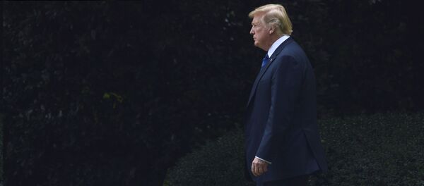 Президент США Доналд Трамп - Sputnik Молдова