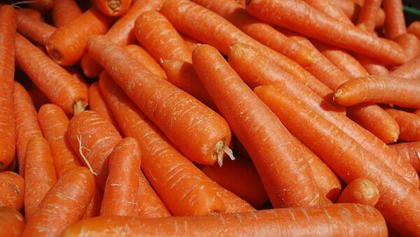 Зачем художник выбросил 29 тонн моркови на лондонскую улицу? - Sputnik Молдова