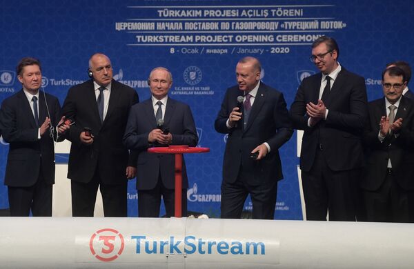Президент России Владимир Путин и президент Турции Реджеп Тайип Эрдоган на церемонии официального открытия газопровода Турецкий поток в Стамбуле - Sputnik Moldova