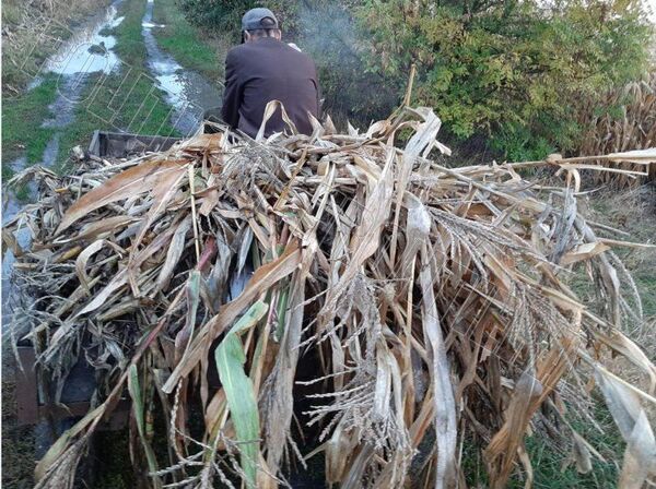 Video, Foto - Asta-i culmea: Contrabandă, cu căruța Video, Foto - Asta-i culmea: Contrabandă, cu căruța - Sputnik Moldova