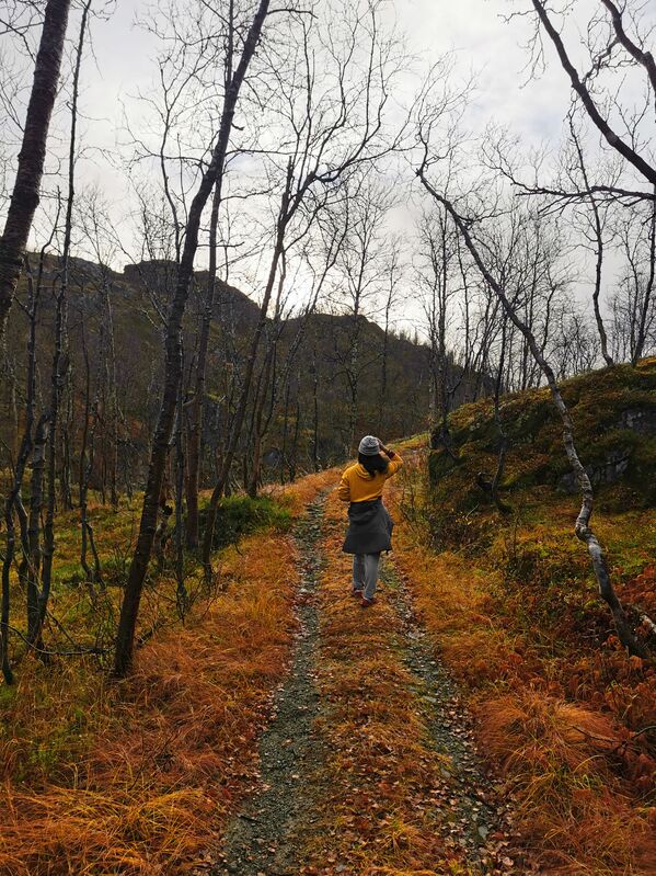 Прогулка в осеннем лесу в Норвегии - Sputnik Moldova