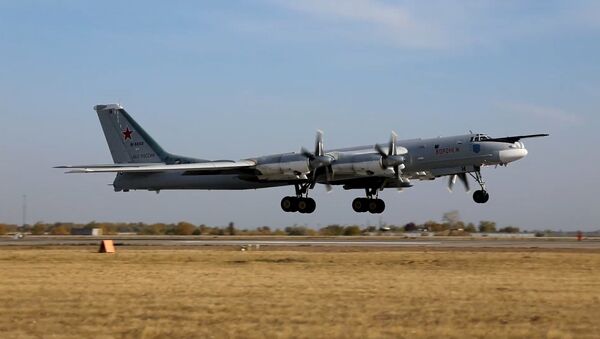 Нештатные ситуации и дозаправка в воздухе: экипажи Ту-160 и Ту-95МС провели контрольные полеты - Sputnik Молдова