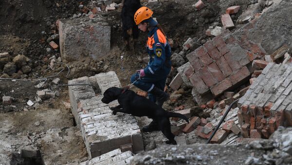 Сотрудники МЧС разбирают перекрытия, рухнувшие в строящемся здании в Новосибирске - Sputnik Молдова