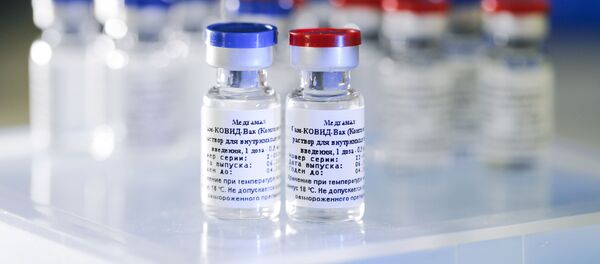 Первая в мире зарегистрированная вакцина от коронавируса COVID-19 Спутник V Первая в мире зарегистрированная вакцина от коронавируса COVID-19 Спутник V - Sputnik Moldova-România