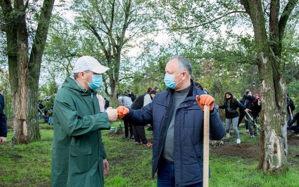 Președintele Igor Dodon a plantat copaci - Sputnik Moldova