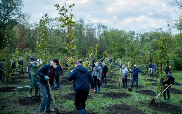Președintele Igor Dodon a plantat copaci - Sputnik Moldova